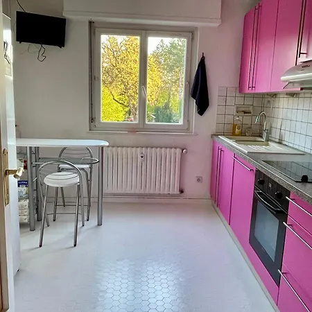 La Maisonnette Alsacienne D Helene Et Guillaume * 科尔马